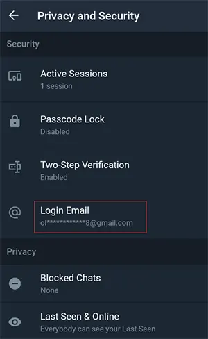 电报账号隐私和安全中的登录邮箱